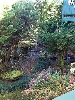 הילו Hale Kawehi Bnb Guesthouse בית הארחה