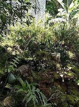 בית הארחה הילו Hale Kawehi Bnb Guesthouse